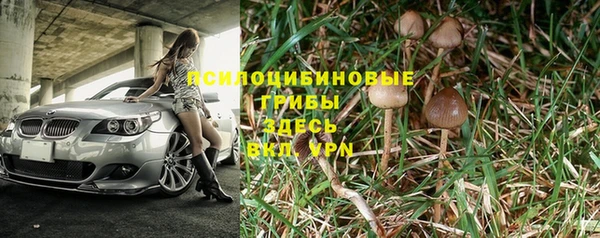 дурь Арсеньев