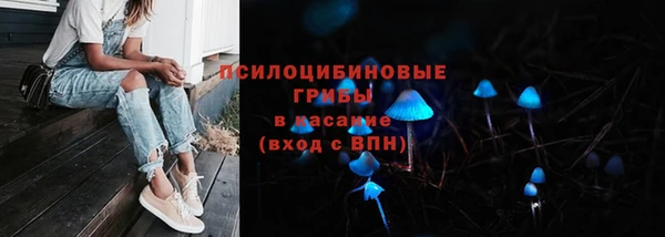 винт Армянск