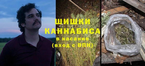 дурь Арсеньев