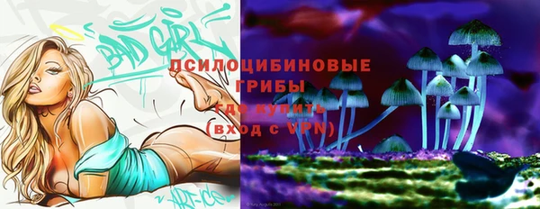 дурь Арсеньев