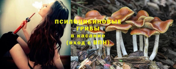 гашишное масло Аркадак