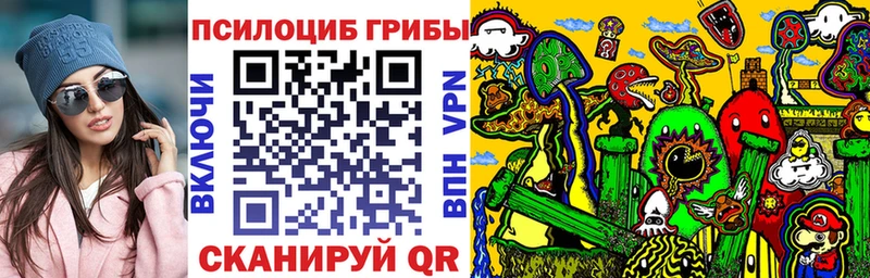 Галлюциногенные грибы Psilocybe наркота Кириши